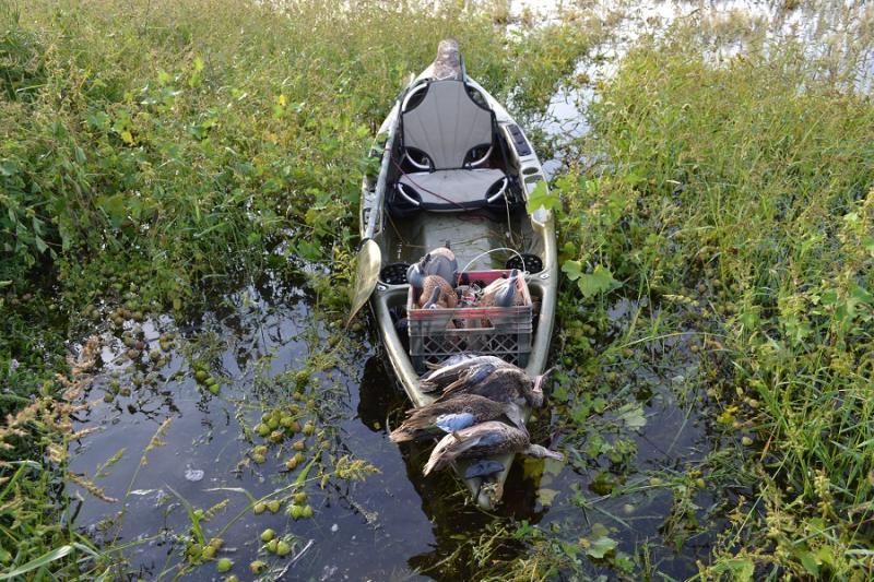 Duck hunting from a Sitinkayak Migratory Birds Forum