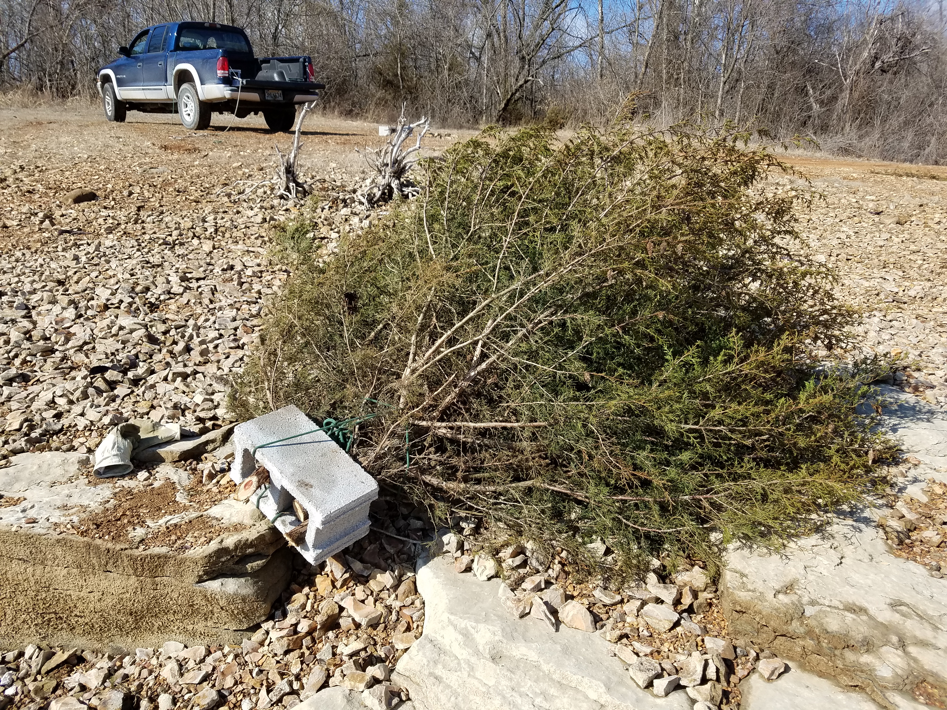 Laying Down Crappie Beds Stockton Lake Forum