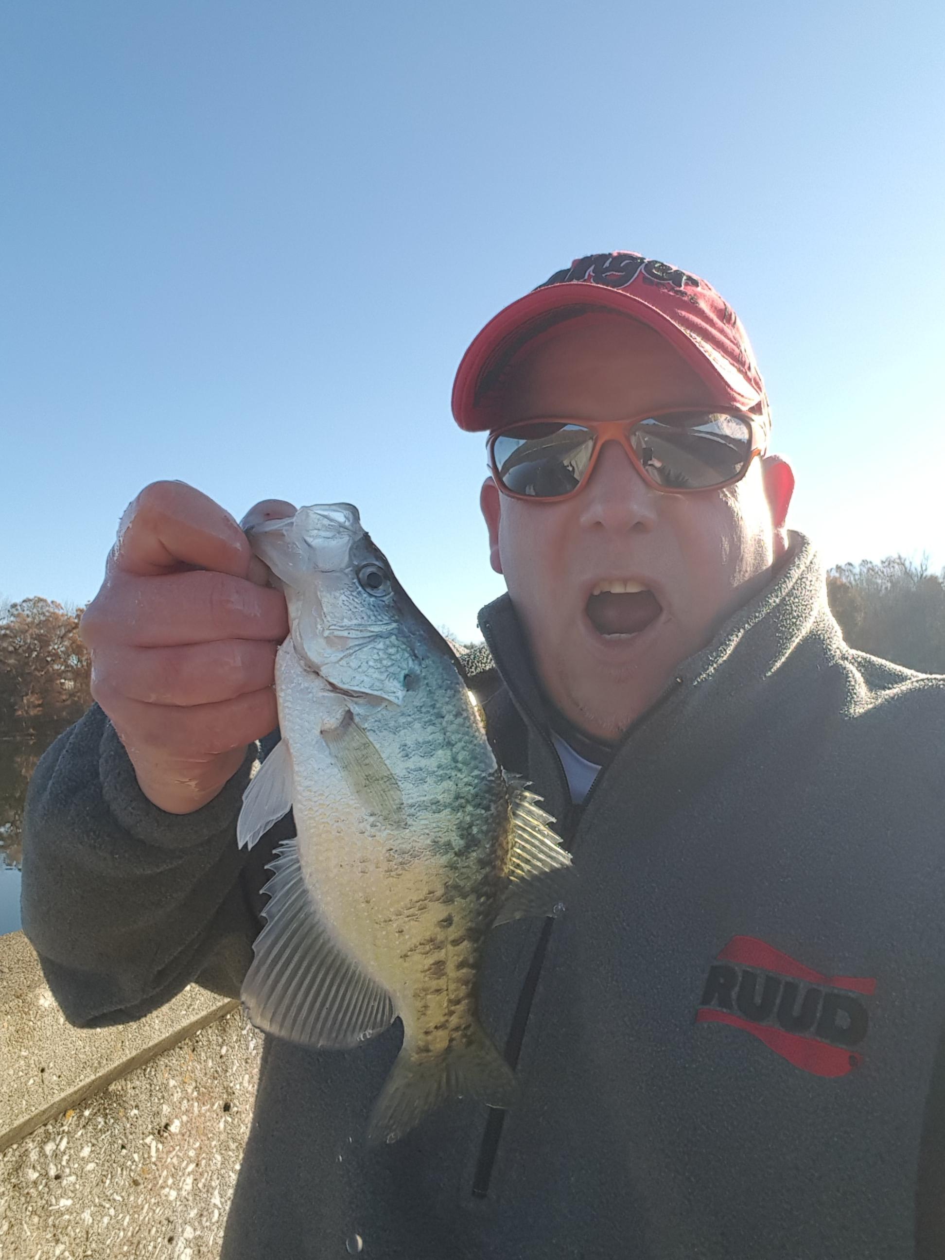 McDaniel Lake Fellows Lake, Springfield Lake, McDaniels Lake