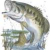 flytyer57