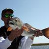 patfish