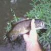 OzarkFishman